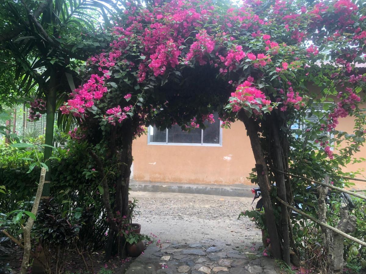 Tara Guesthouse - Sauraha,Chitwan Exterior foto