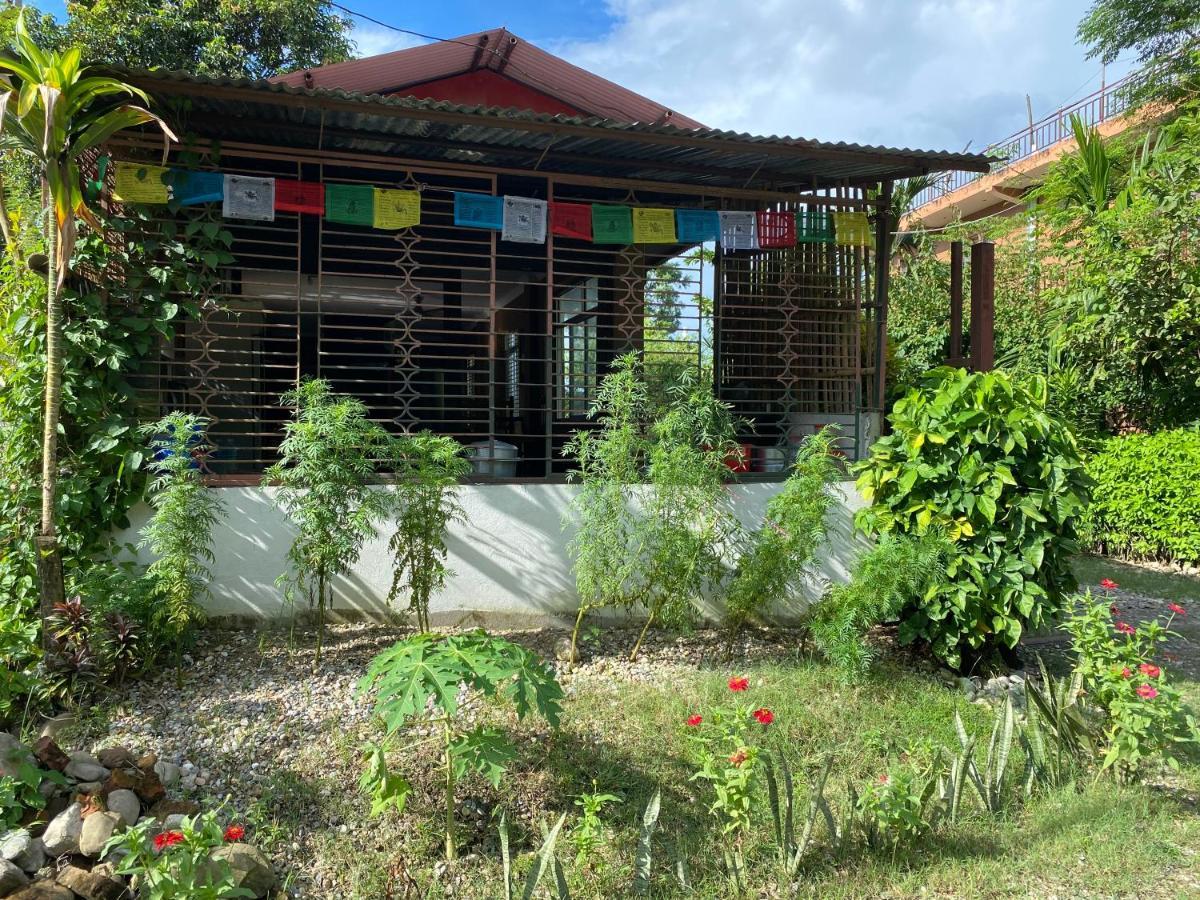 Tara Guesthouse - Sauraha,Chitwan Exterior foto