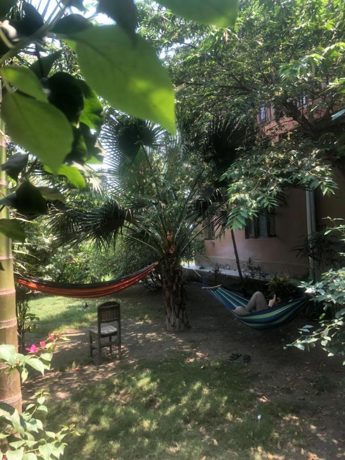 Tara Guesthouse - Sauraha,Chitwan Exterior foto