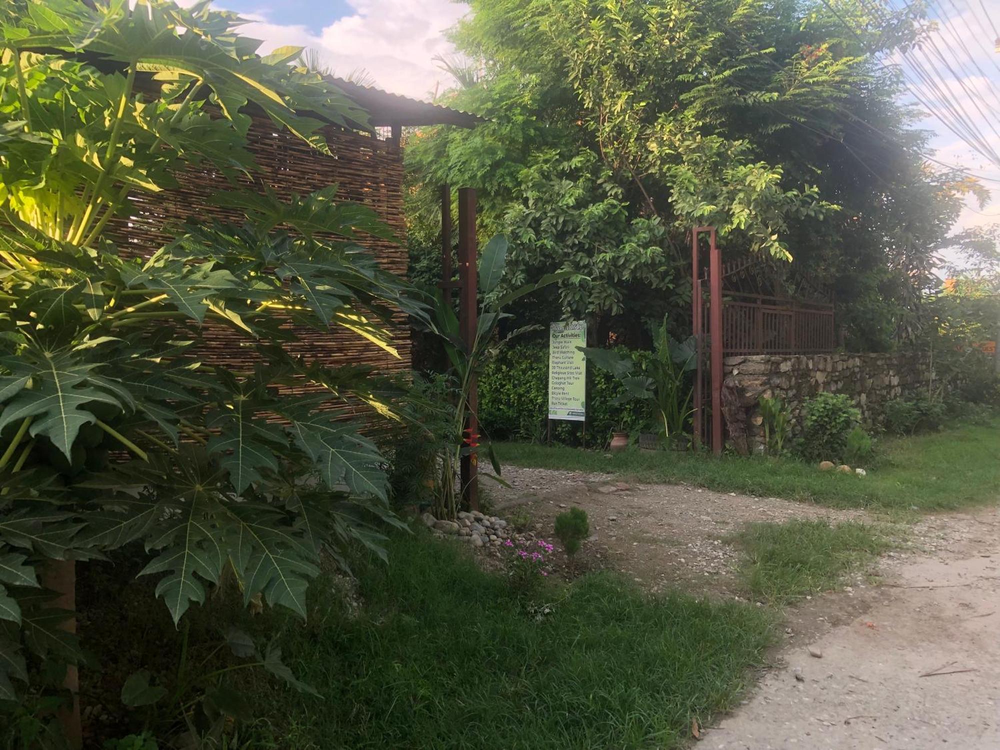 Tara Guesthouse - Sauraha,Chitwan Exterior foto